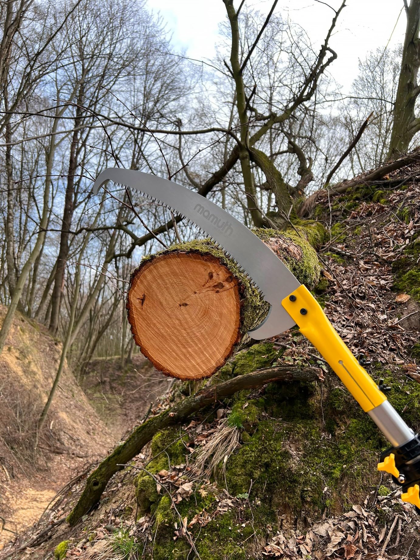 Mamuth Scie d'élagage télescopique de 5,5 m – Scie d'élagage avec tige d'extension, sécateur à main pour branches hautes, scie de jardin extensible, robuste et tranchante pour jardin et sylviculture