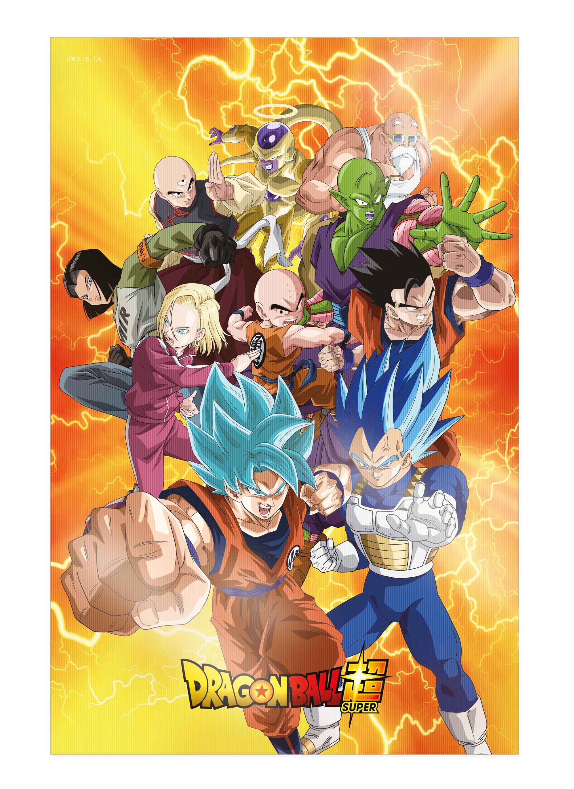 SD TOYS - Poster 3D Universal Survival Heroes Dragon Ball Super - Measures 38 x 58 cm
