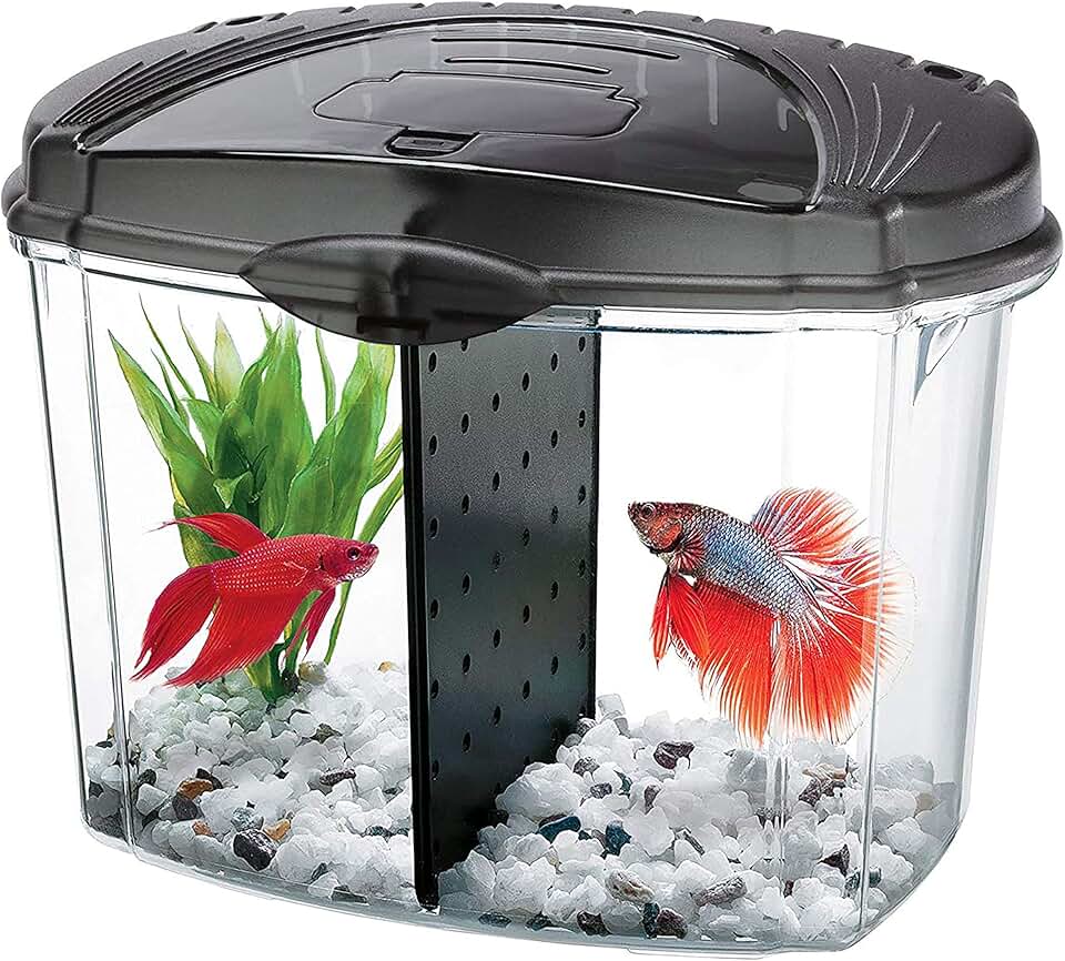 travel fish tank
