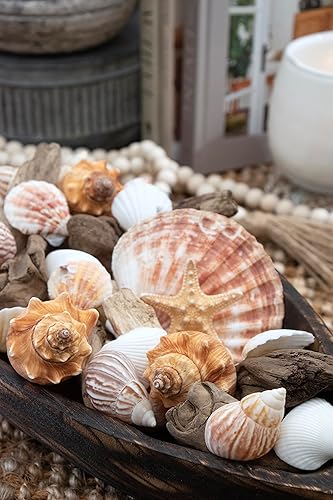 Miniatura 5 de ANDALUCA Seashells, Starfish Driftwood Fragancia Potpourri florero y cuenco decorativo (Coral Beach)