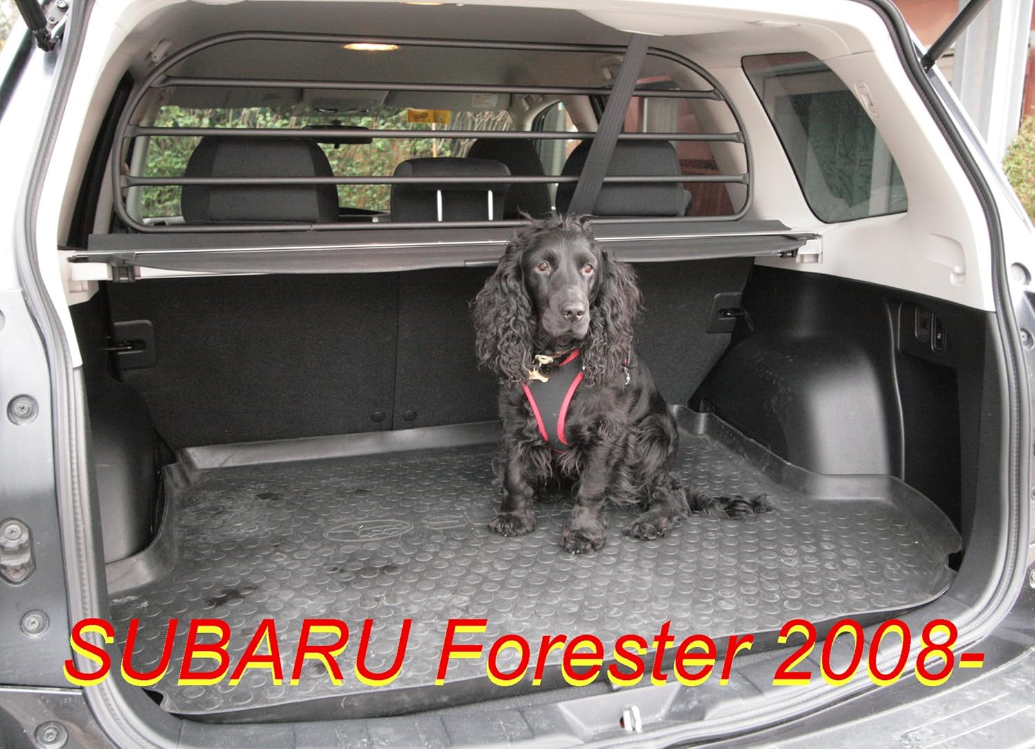 Subaru forester dog guard Clearance