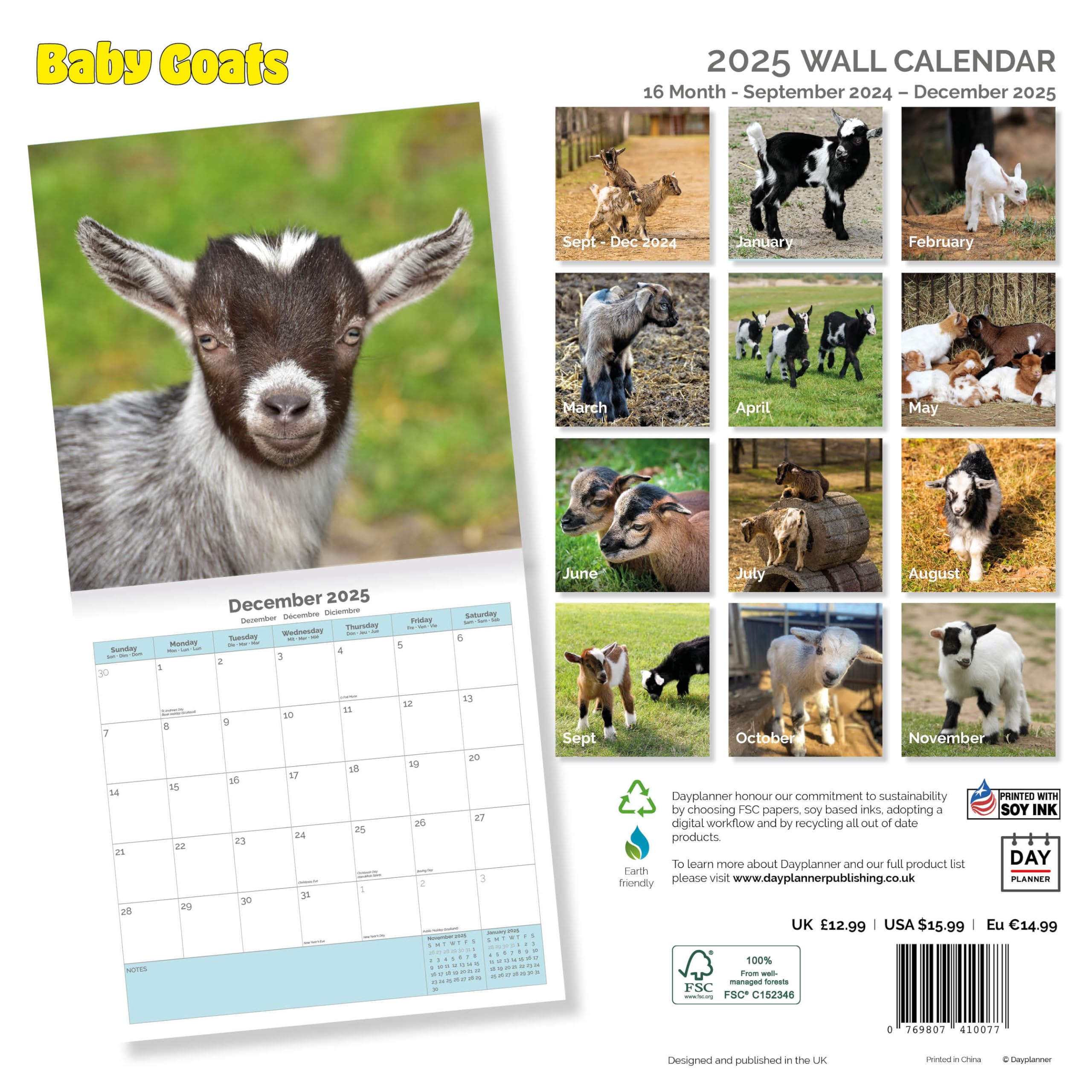 Dayplanner Publishing Baby Goats Calendar 2026, Large Square Wall Calendar With Organisational Stickers, 16 Month - Image 2