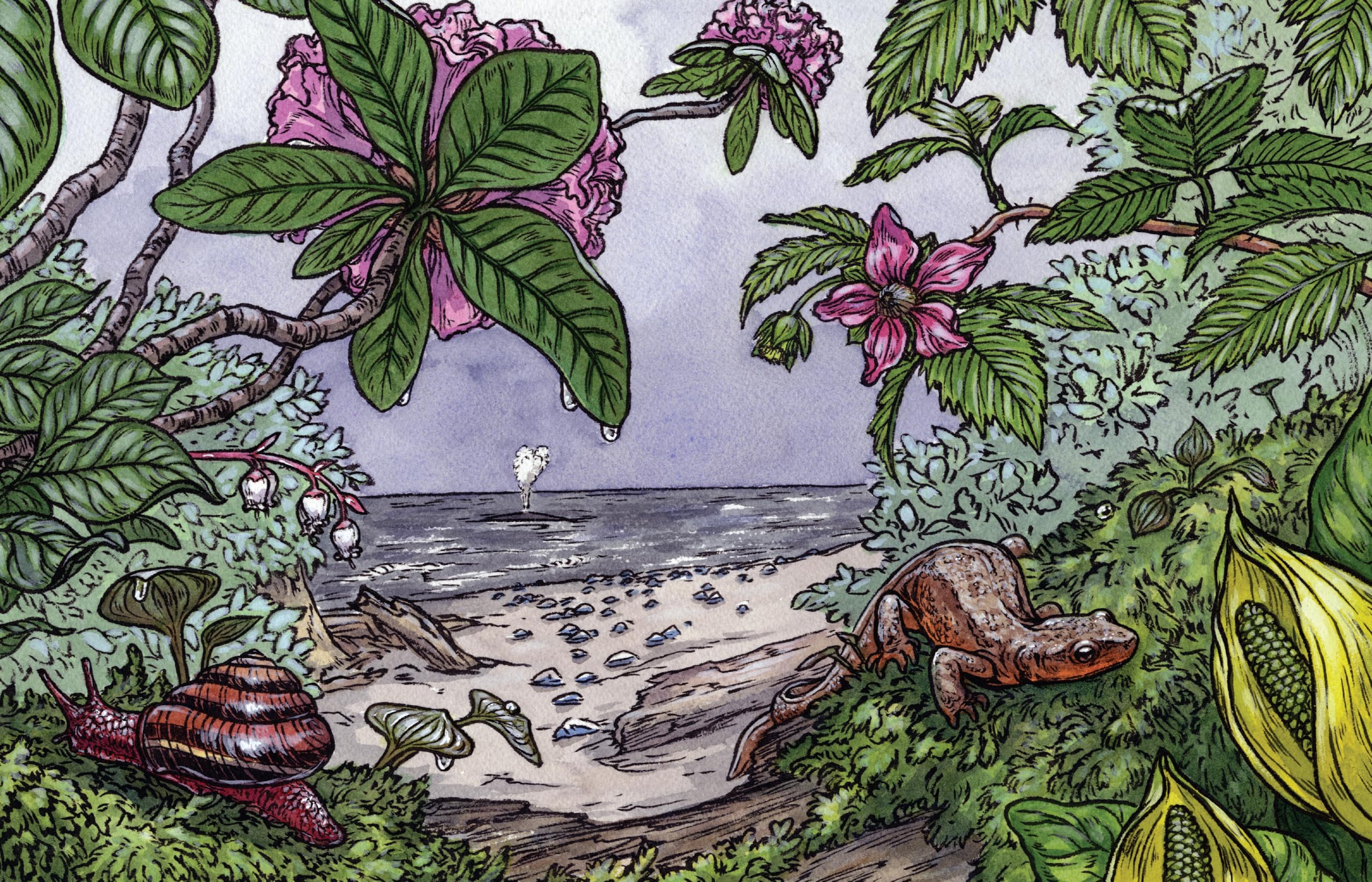 Cascade of Life: An Artist’s Seasonal Guide to the Wild Northwest