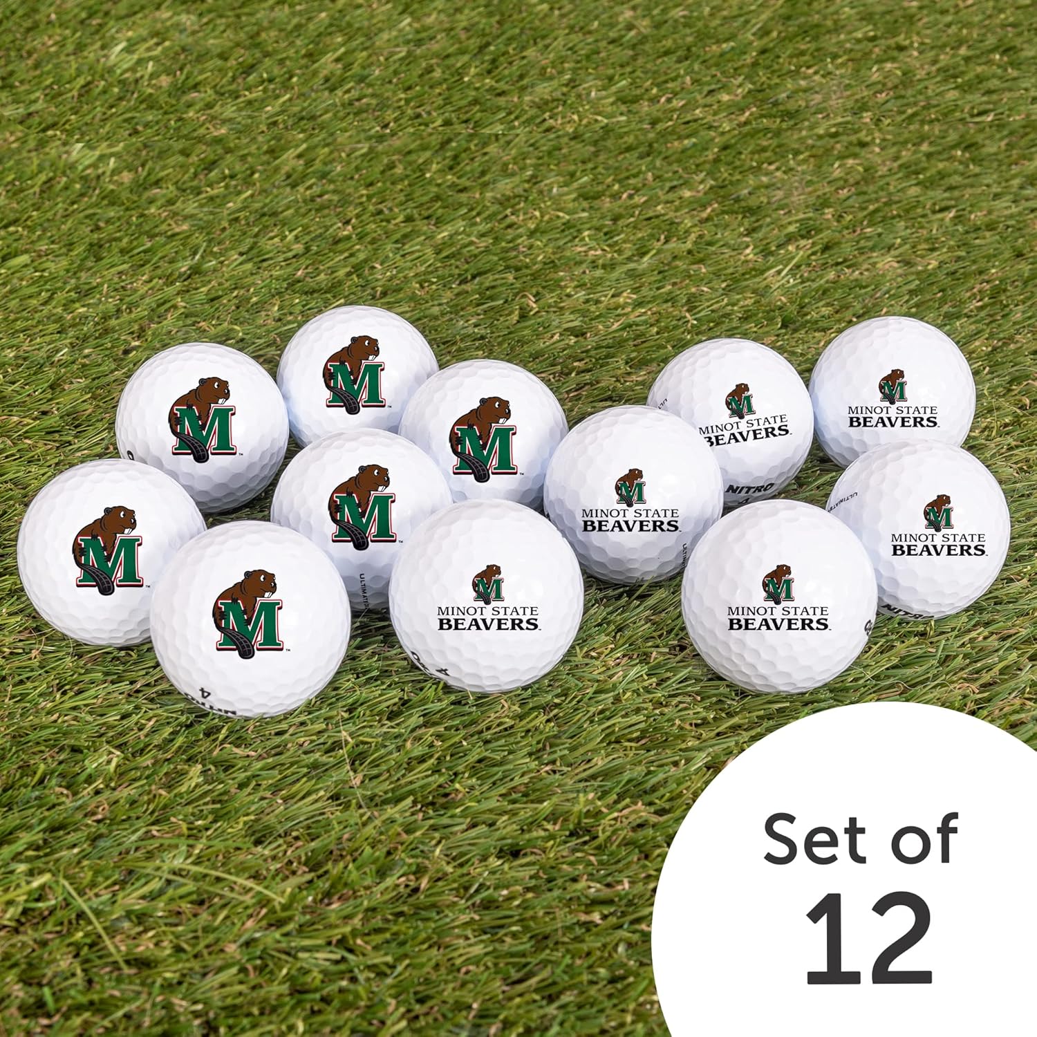 Desert Cactus Minot State University Golf Balls 12 Pack – MSU Beavers Full Color Dozen – Officially Licensed Sport Team Accessory