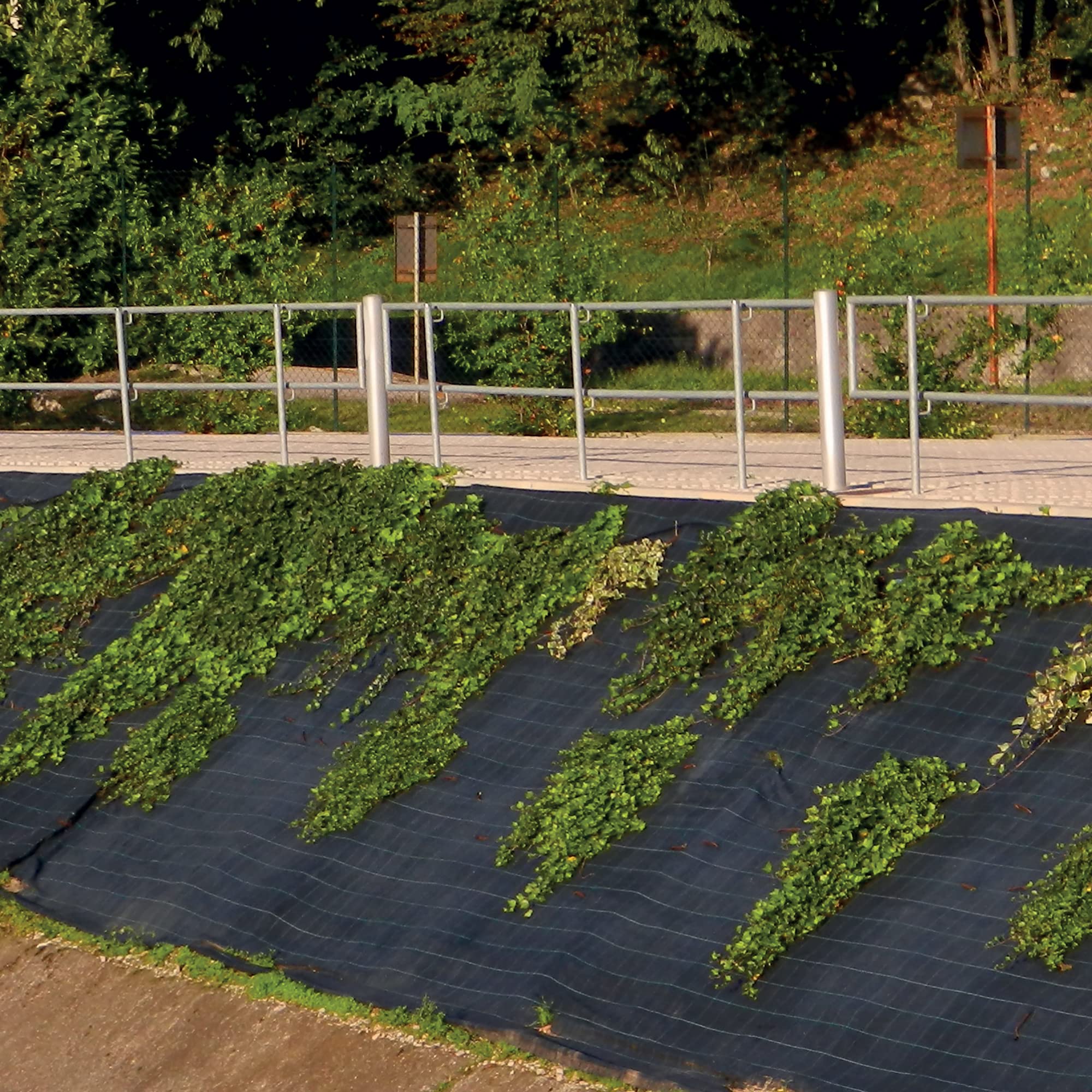 Tenax Toile de paillage Cover Pro 3,30x100 m Noir, pour Les Jardins et Les Potagers, Empêche Le Développement des Mauvaises Herbes Assurant la Qualité des Cultures