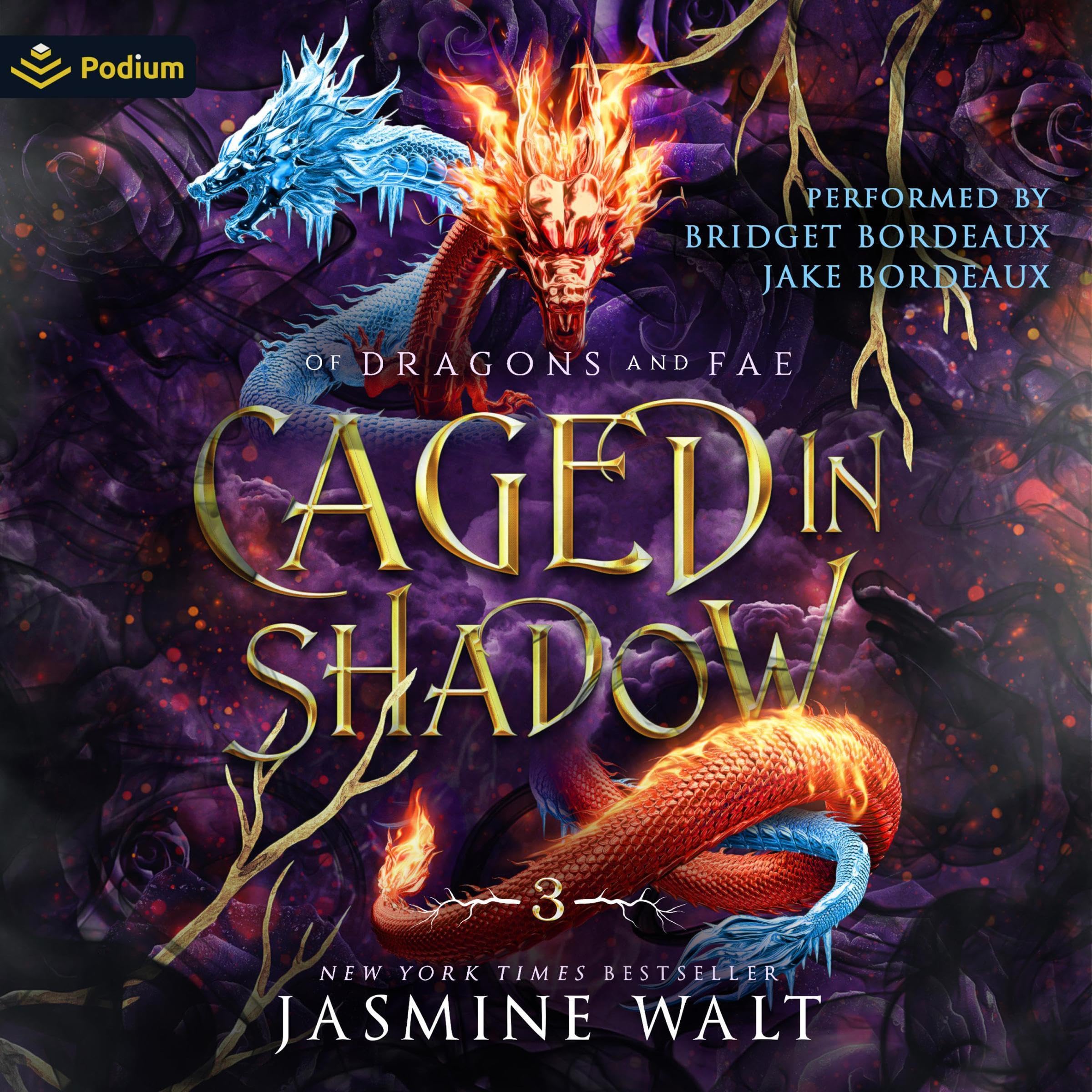 Cover art for Caged in Shadow