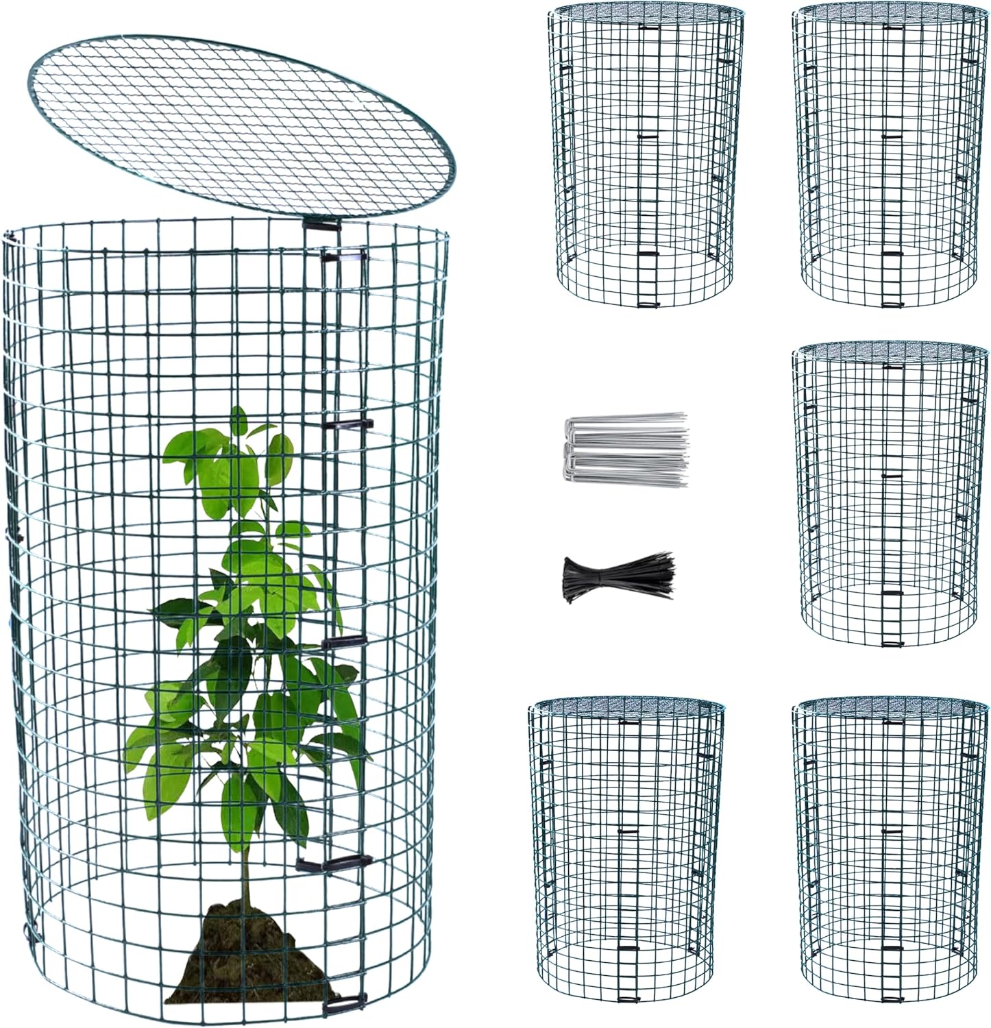 6 Pack Plant Protector from Animals, 12'' Dia x 20'' H Metal Plant Cages to Keep Animals Out, Garden Protection from Rabbits Chickens Ducks, Bunny Barricades for Garden Flowers Vegetables (Large)