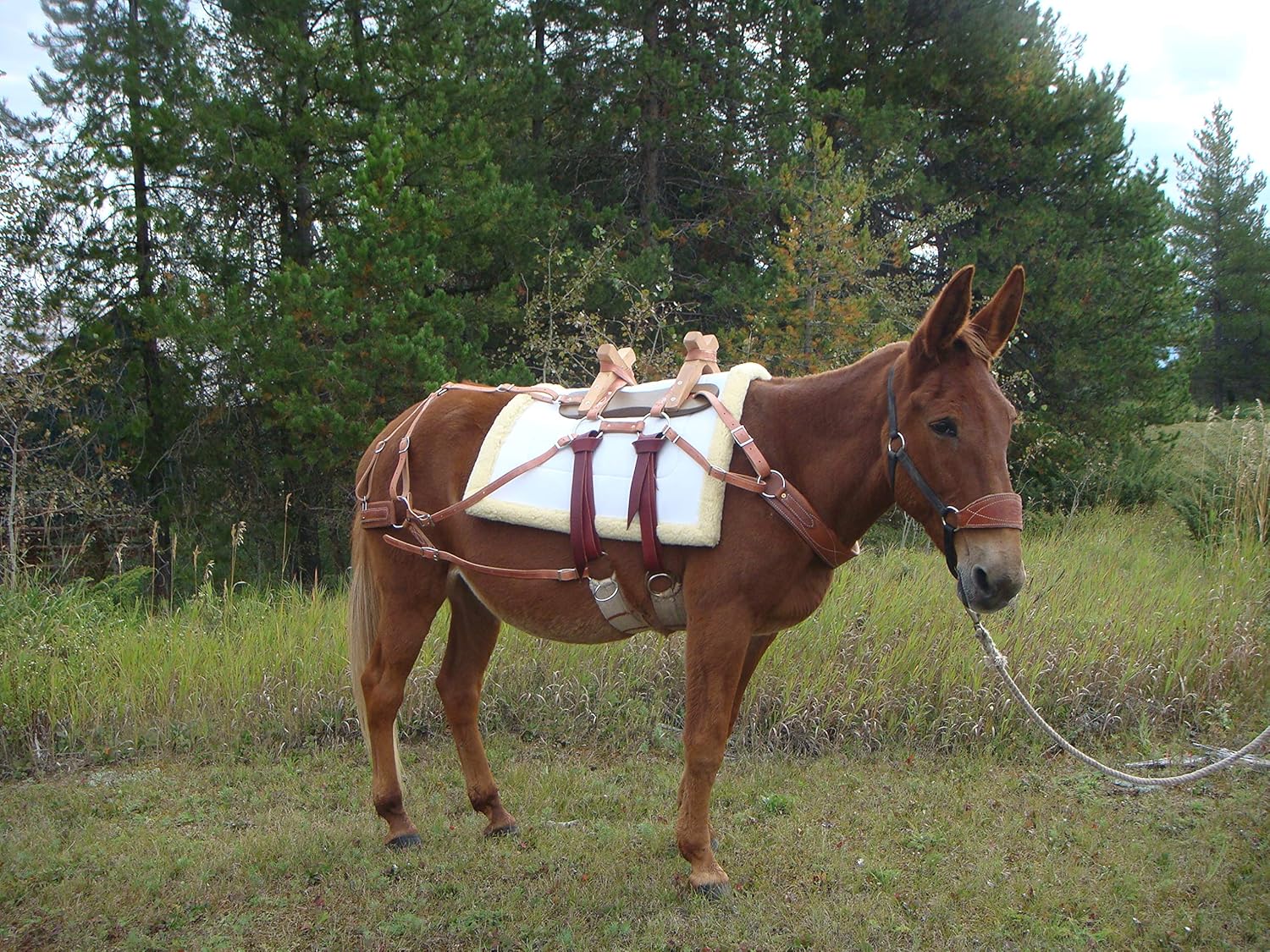 TrailMax Canvas & Fleece Pack Pad for Pack Saddle, Durable 22 OZ Canvas Kodel Fleece and Felt Padding, for Use with Sawbuck Or Decker Pack Saddle, Intended for Horse and Mule Packing