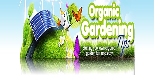 Organic Gardening Proven Tips, Tools and Tactics You Which You Know - Discover How To Start Your Own