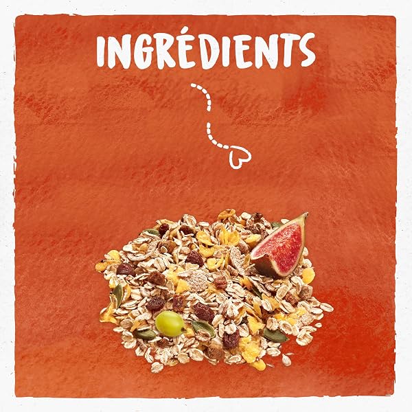BJORG - Muesli Bio Sans Sucres Ajoutés - Raisin, Figue, Datte, Abricot - Aux Céréales Complètes - Sachet 750 g - 3
