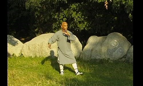 Tai Chi Pro Series Chapter 1