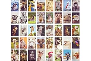 40 Piece VSCO Wall Collage Kit