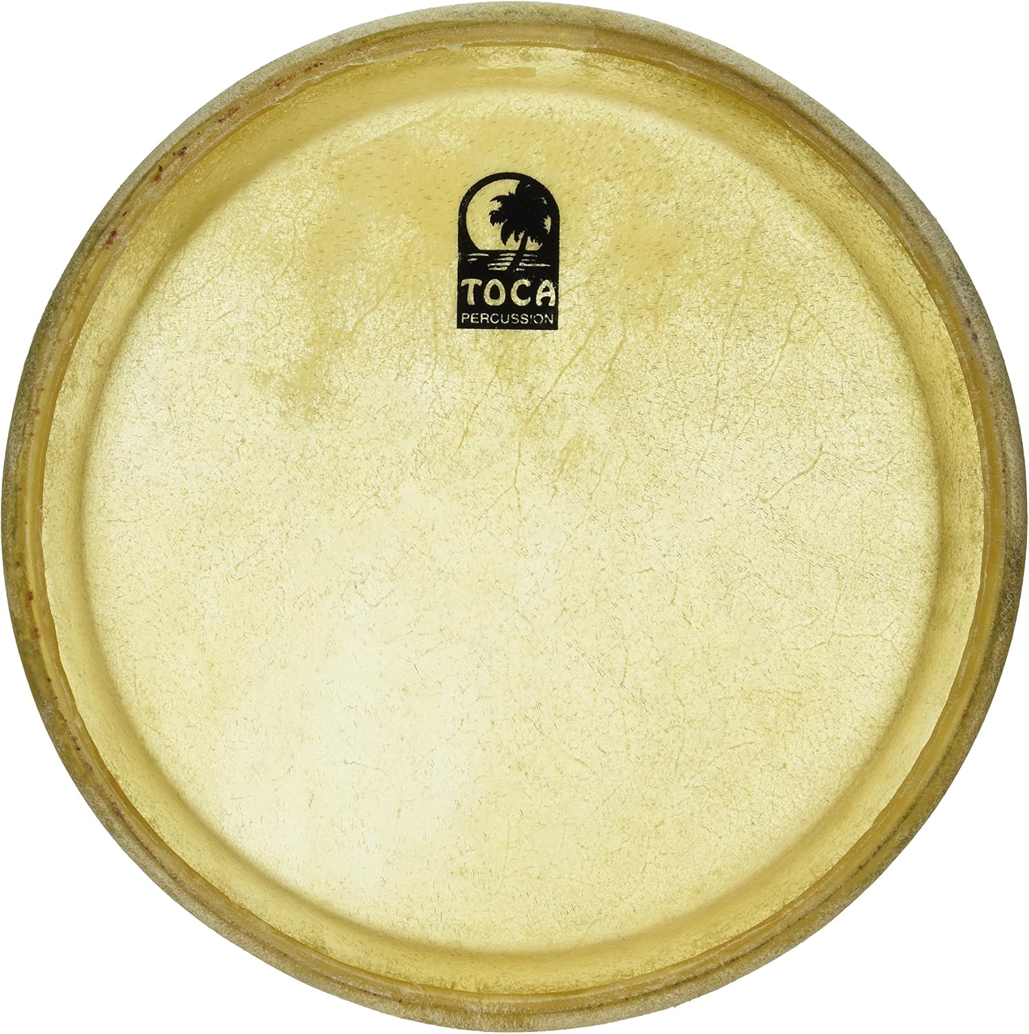 Toca TP-38012-1/2 Sheila E. Signature Series 121/2" Conga Head