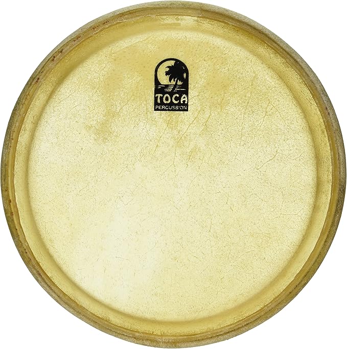 Amazon.com: Toca TP-38012-1/2 Sheila E. Signature Series 121/2" Conga ...
