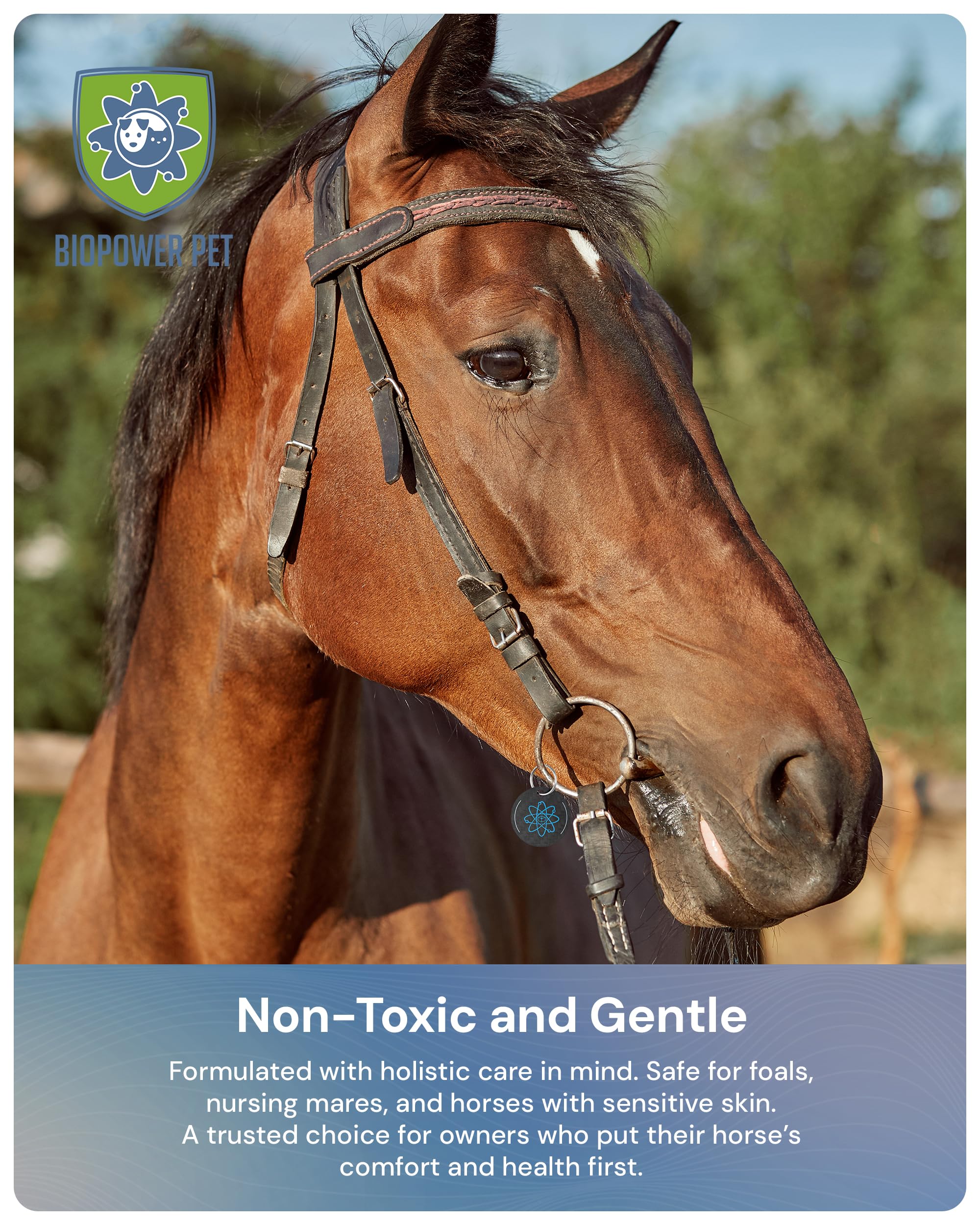 BioPower Natural Fly & Tick Repellent for Horses - Horse Shield Tag with 1-Year Bioresonance Protection – Chemical-Free, Waterproof Carbon Tag That Clips to Halter – Non-Toxic Pest Defense - image 5