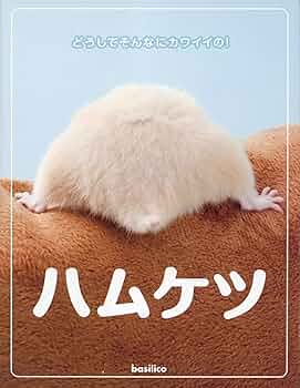 ハムケツ | manic |本 | 通販 | Amazon