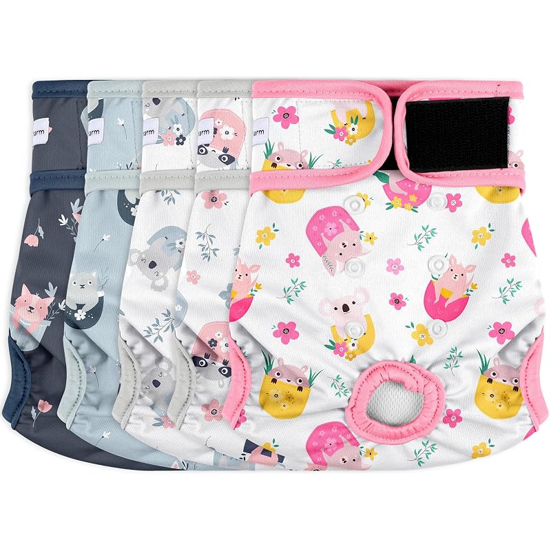 Fraldas reutilizáveis para cães fêmeas com camada absorvente Barklincharm, padrão Koala, XX-Large, pacote com 5