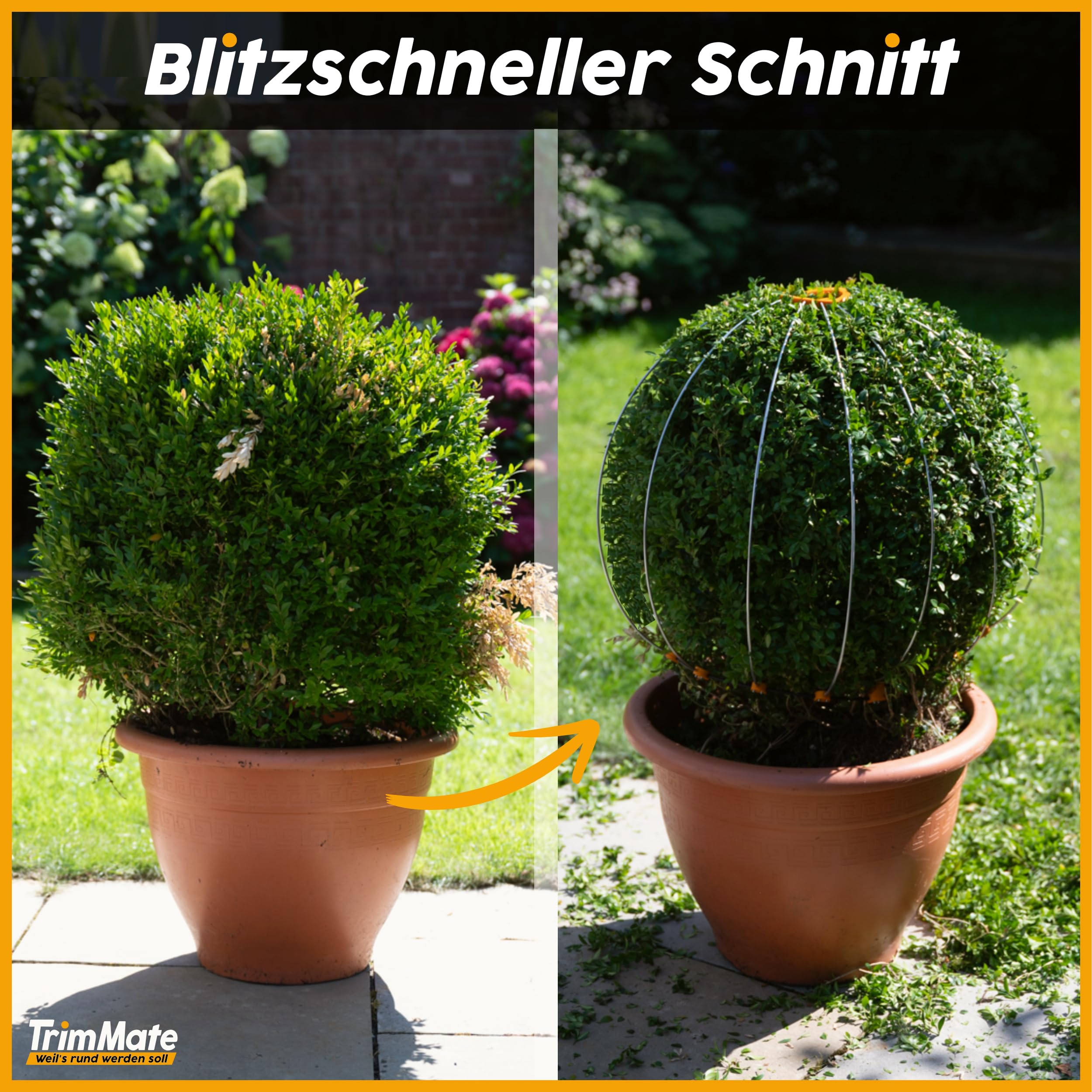 TrimMate Buchsbaum Formschnitt Schablone