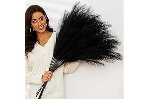 Black Pampas Grass: Enhance Your Home Decor with Majestic Elegance