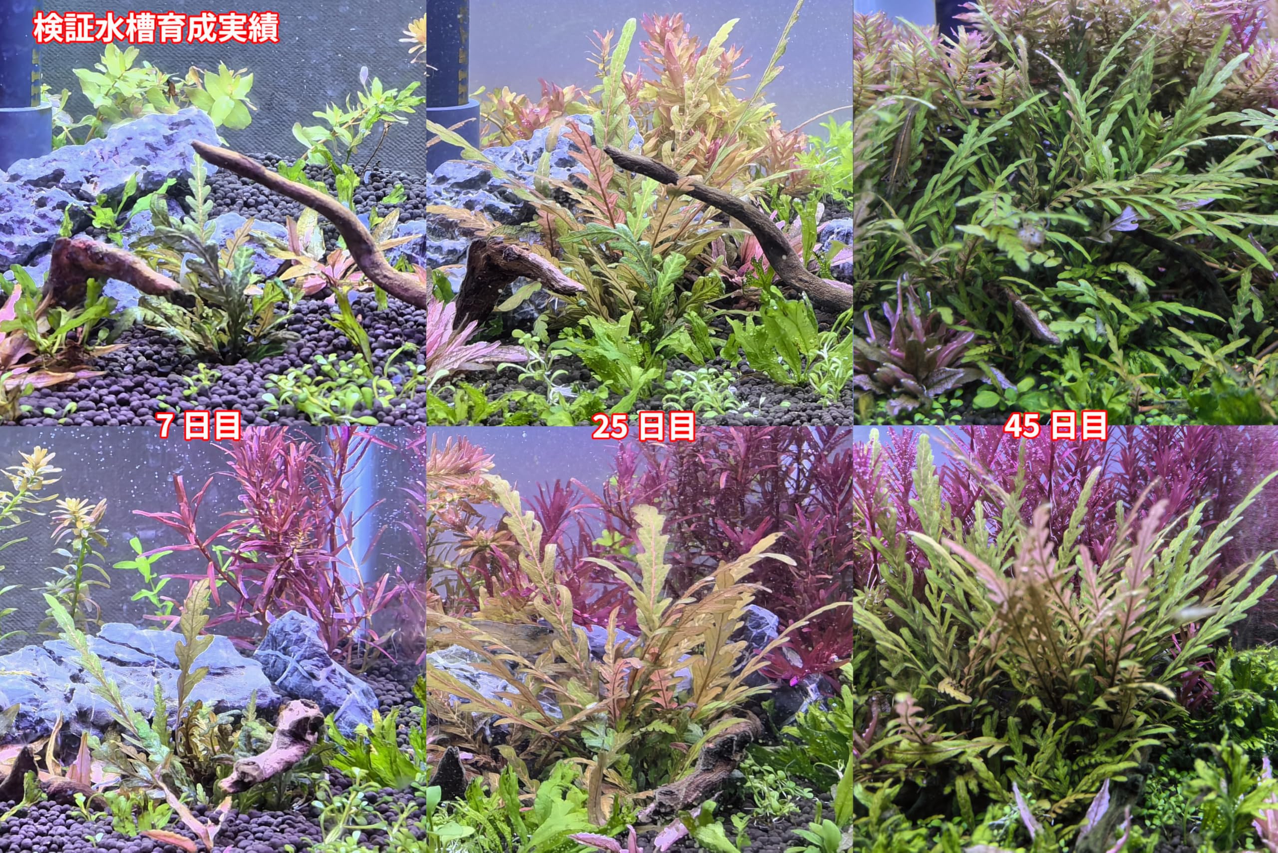 LED水草育成ライト 120cm Amazon.co.jp: 水草育成ライト 水槽ライト 高輝度 高光量 水草水槽