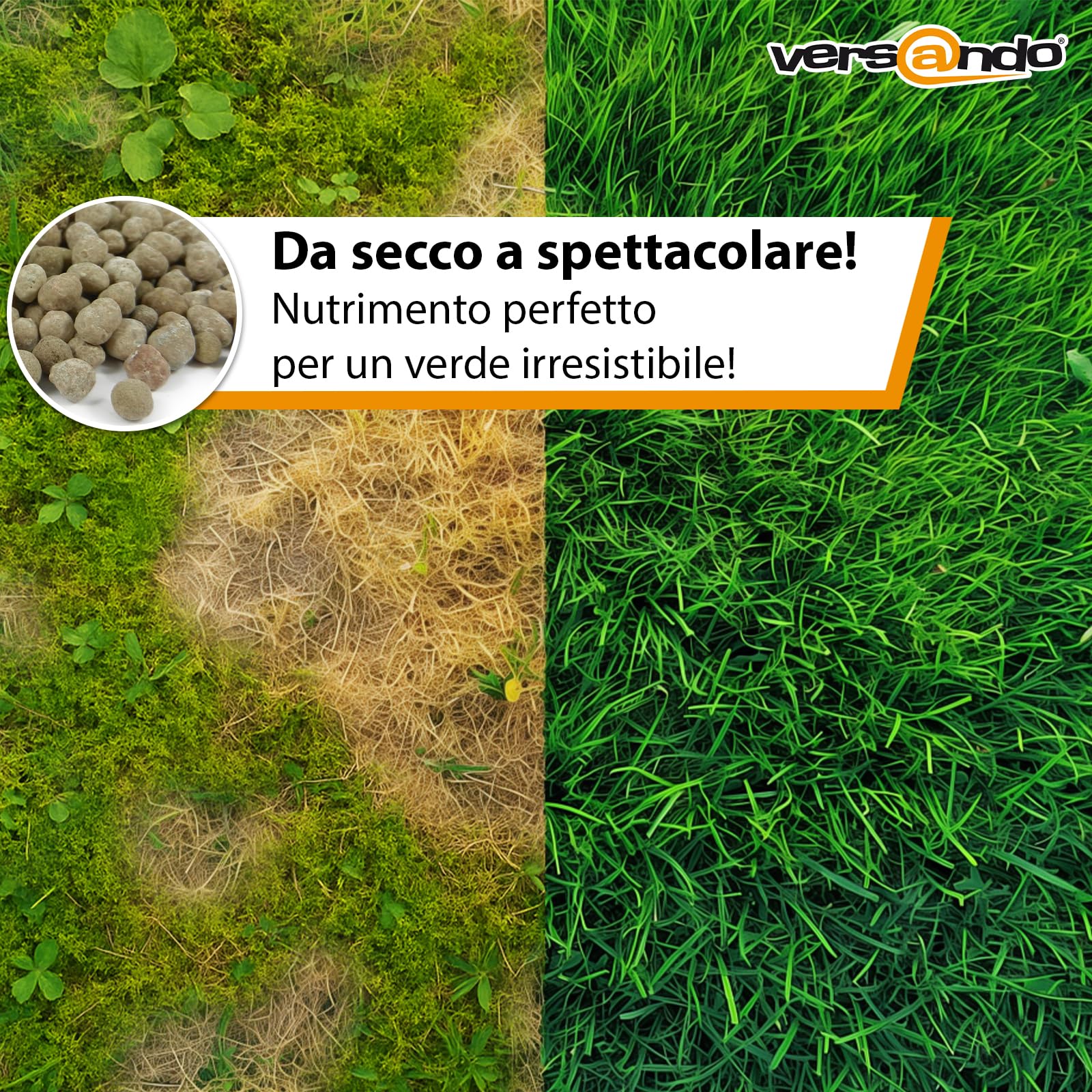 versando 10kg fino a 500m² di concime per prato estate: contrasta muschio e erbacce per un prato sano e di un verde intenso concime primavera ad effetto immediato – qualità premium