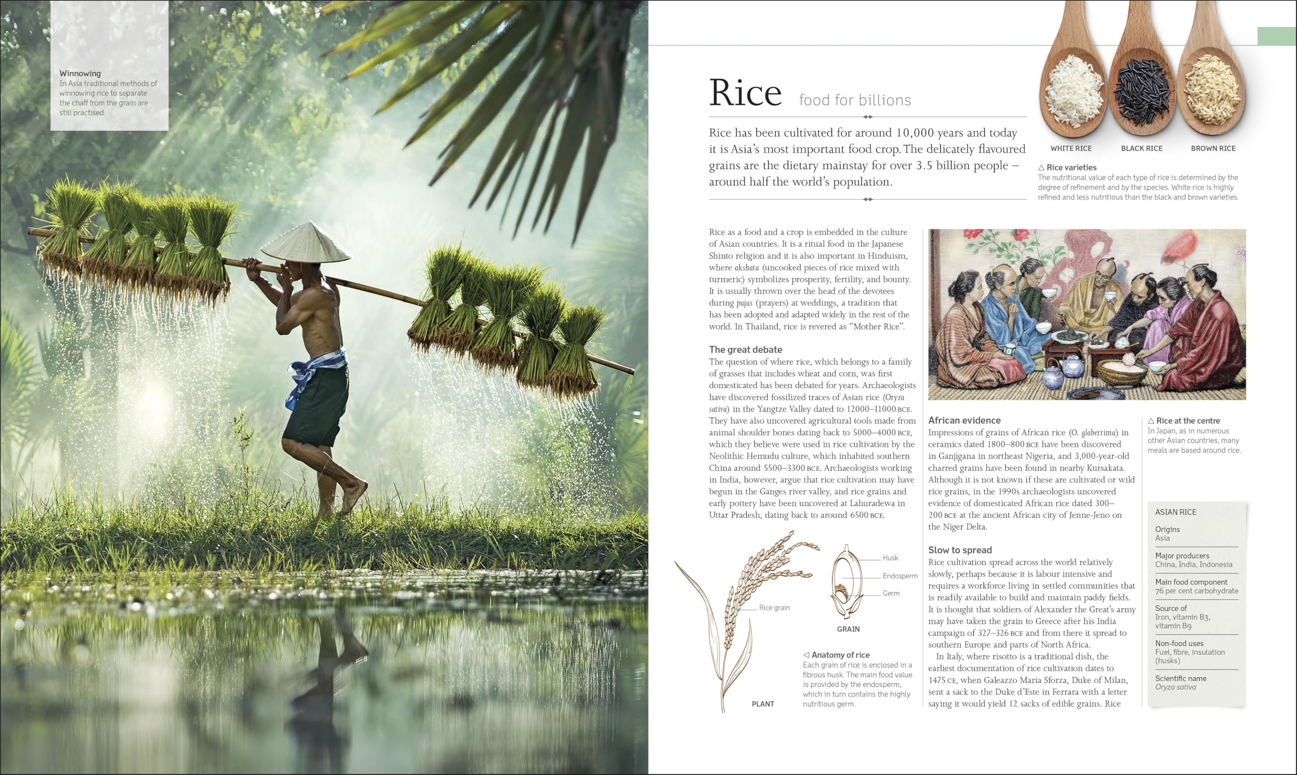 The Food Book: The Stories, Science, and History of What We Eat