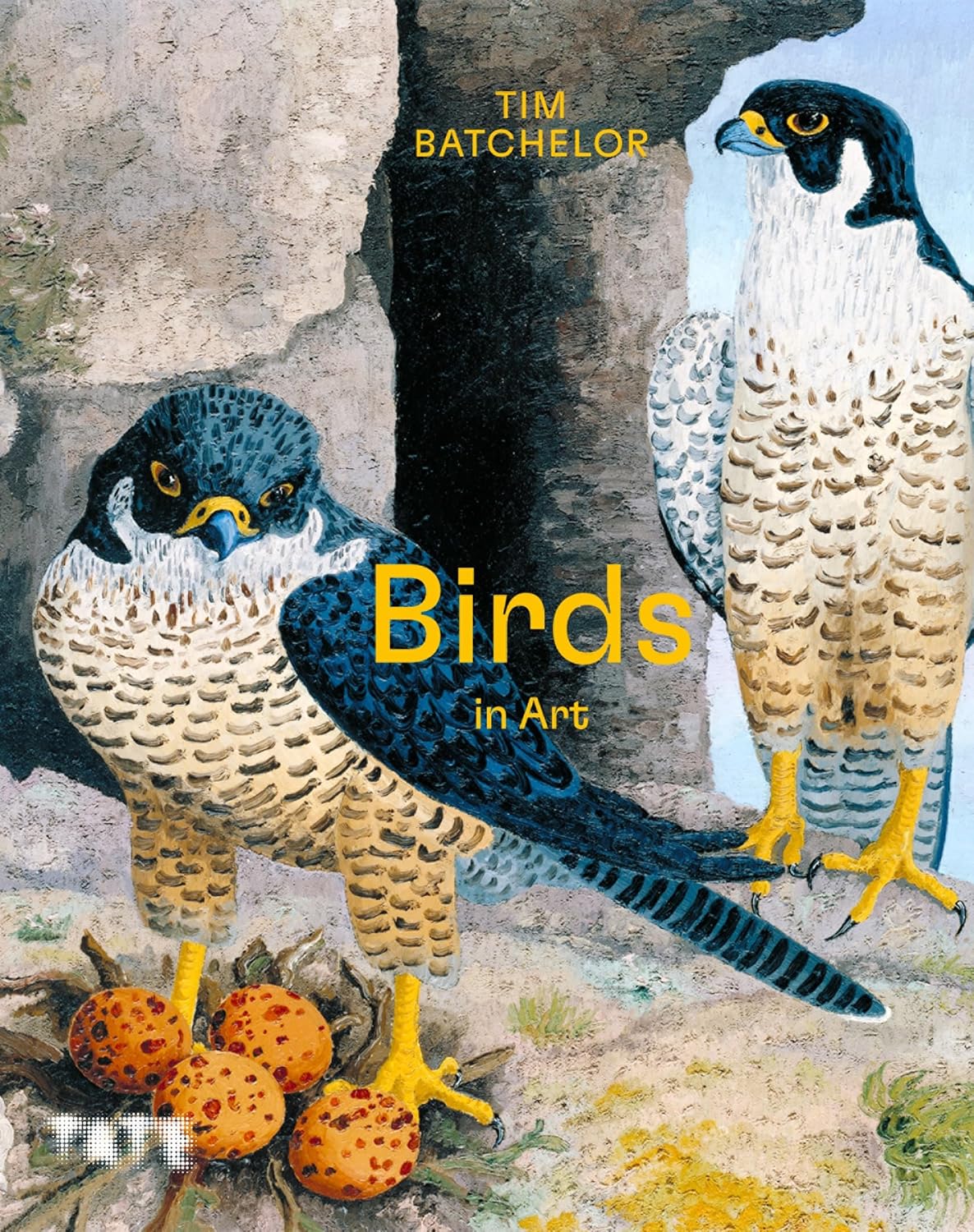 Birds in Art Amazon.co.uk Tim Batchelor 9781849768733 Books