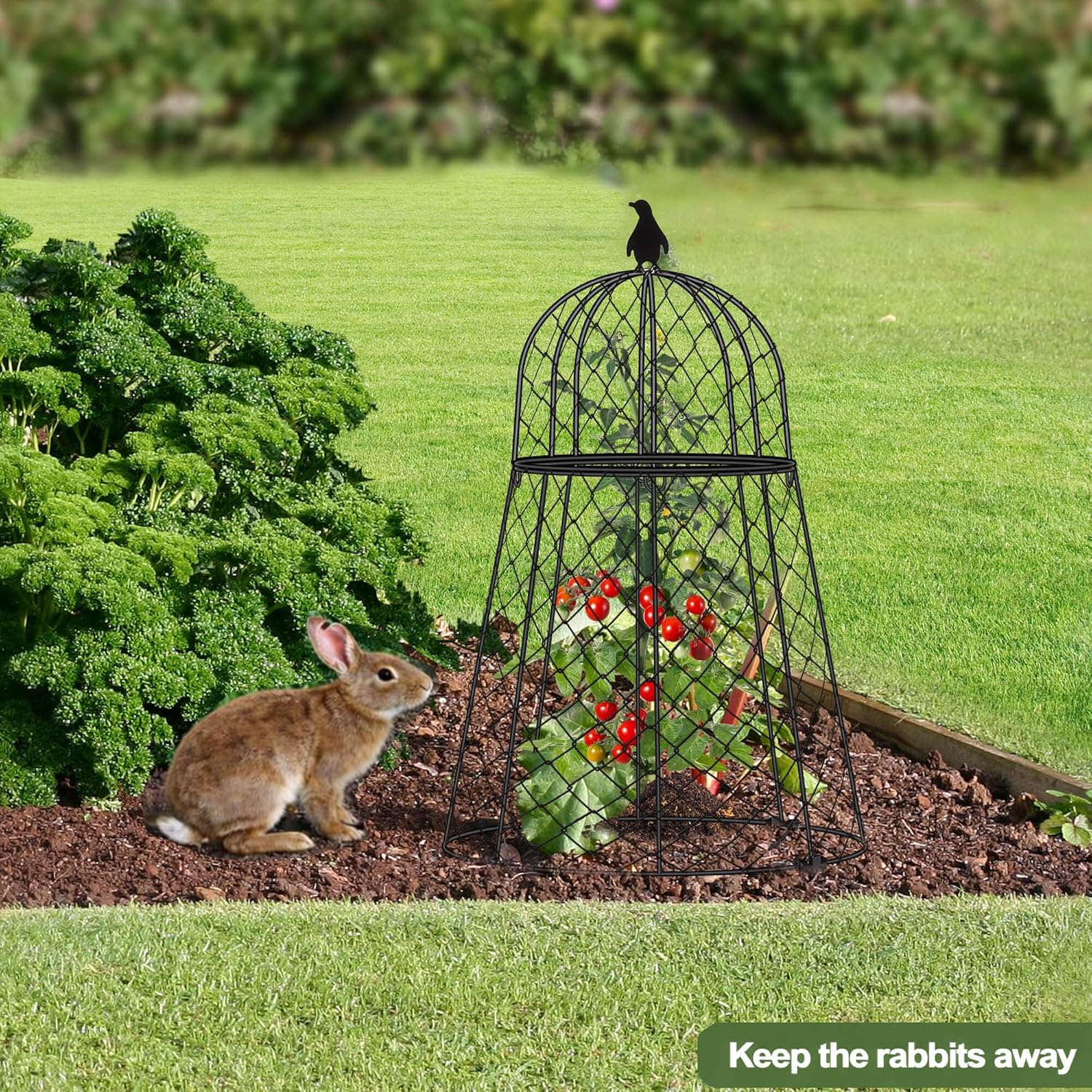 Garden Cloches for Plants, Chicken Wire Cloche, Plant Cloche and Cages, Wire Plant Protectors from Animals, Protection for Your Plants and Seedlings, Heavy-Duty, 13" D x 20" H, Pack of 6