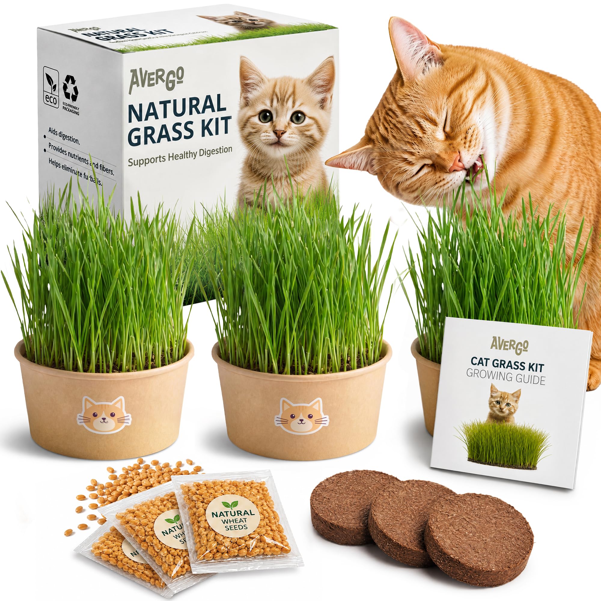 AVERGO Cat Grass Kit Cardboard
