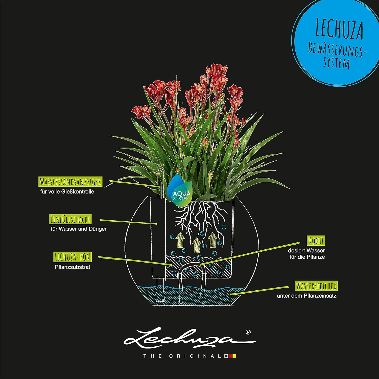 Lechuza Puro Color 20 Slate, Self-Watering Small Indoor Planter, D7.9 H6.3 in