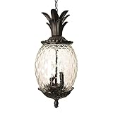 Acclaim 7516BK Lanai Collection 3-Light Outdoor Light Fixture Hanging Lantern, Matte Black