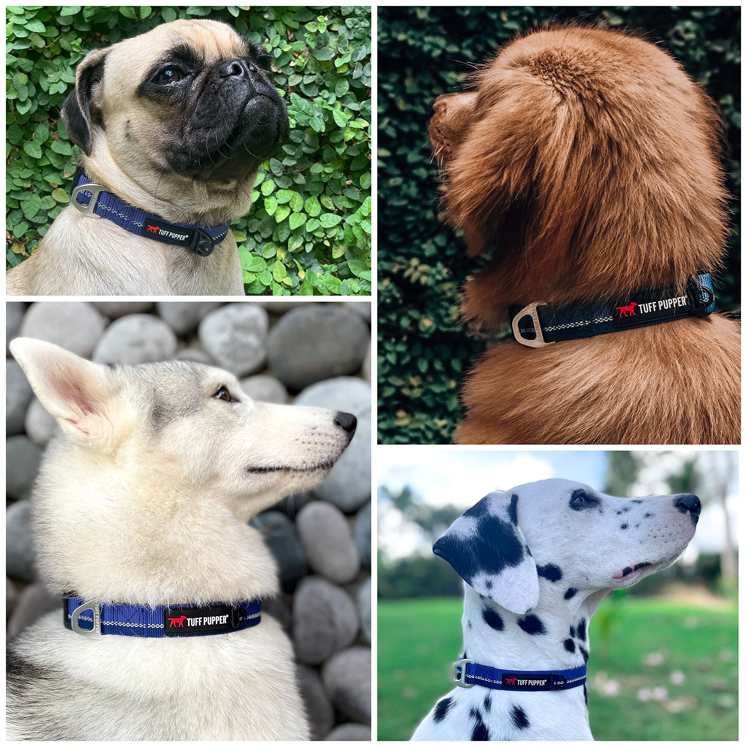 Hero – Robustes Hundehalsband,robustes Hundehalsband,separater Erkennungsmarken-Befestigung hält gravierte Hundemarken ruhig,einfache Größe für alle Rassen