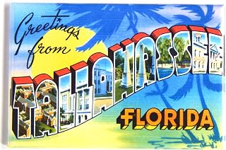 Greetings from Tallahassee Florida Fridge Magnet (2 x 3 inches) style B