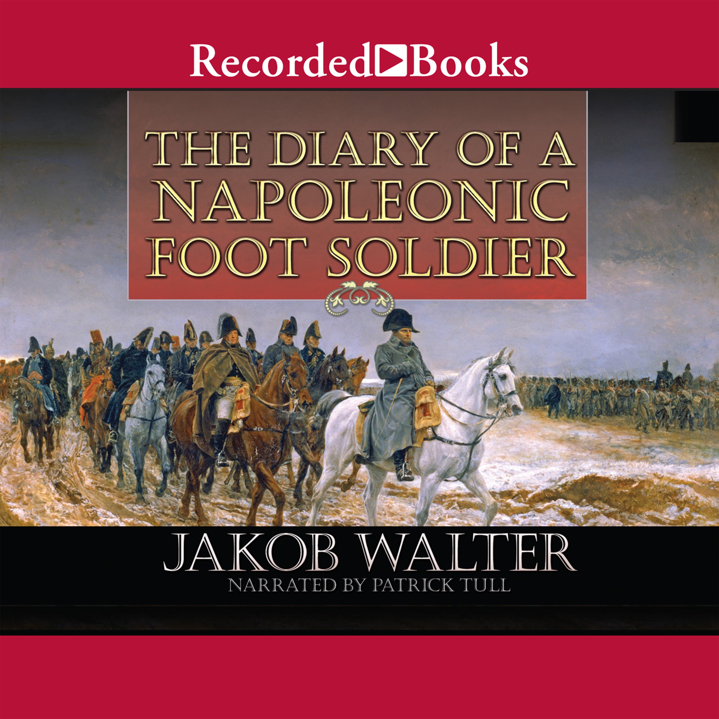 Cover art for The Diary of a Napoleonic Foot Soldier