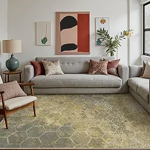 Area Rugs 8x10 for Living Room Bedroom, Modern Abstract Honeycomb Geometric Design, Machine Washable Rug, Large Soft Low Pile Floor Cover with Non Slip Backing for Dining Room, Brown/Tan