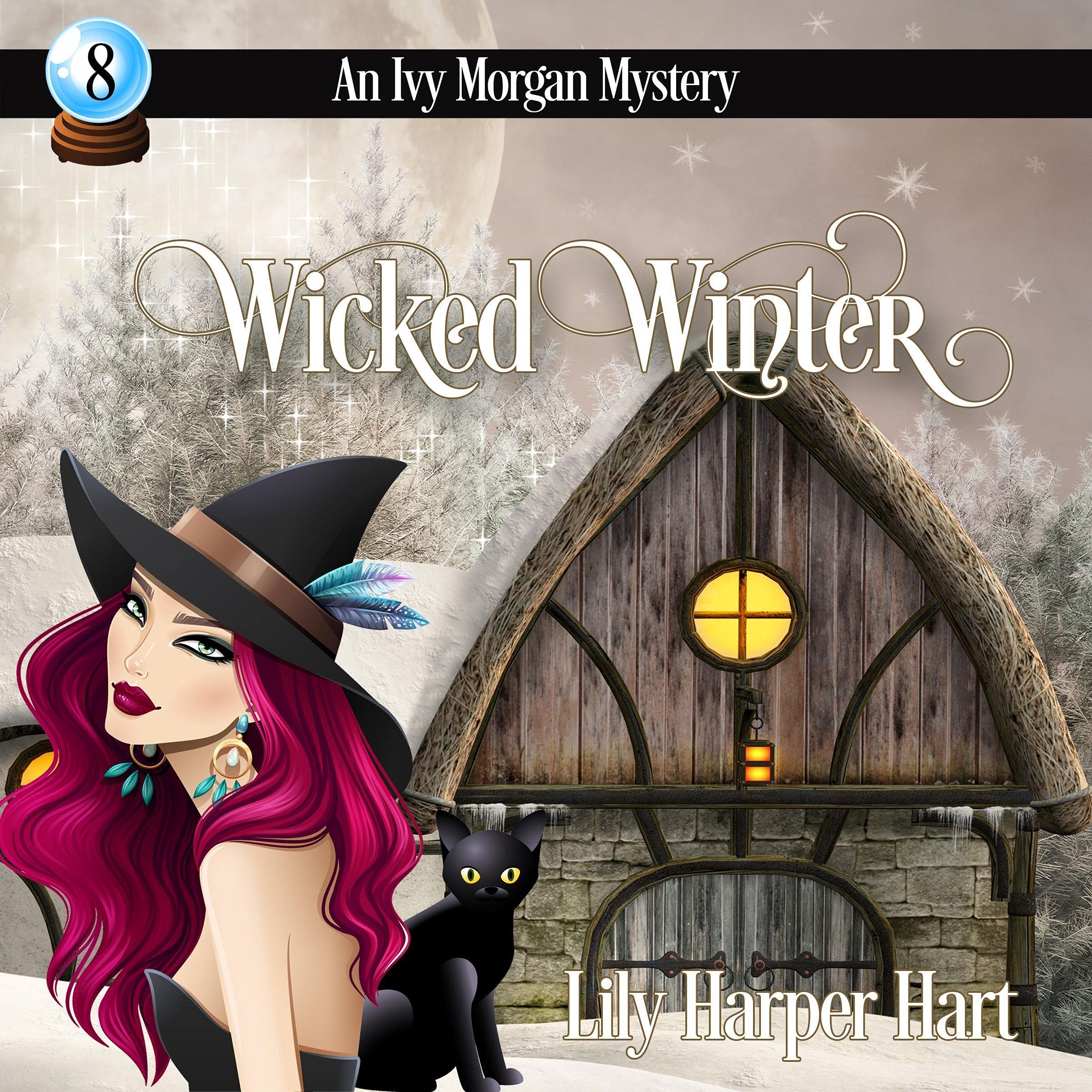 Cover art for Wicked Winter