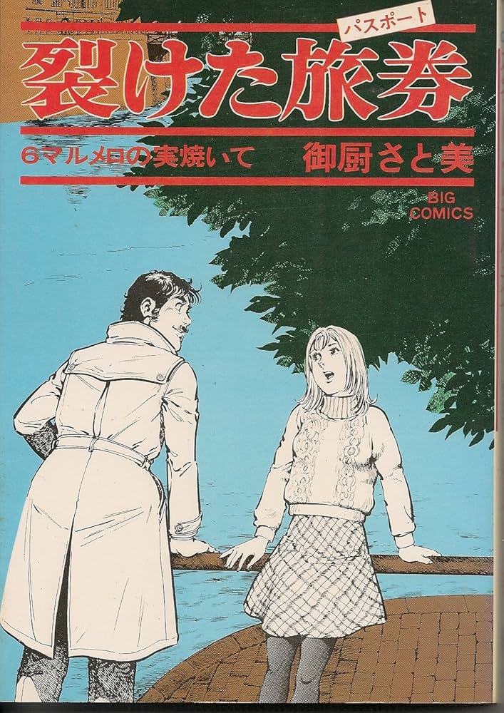 裂けた旅券 裂けたパスポート 全7巻完結 (ビッグコミックス) [マーケットプレイス コミックセット] 2mvetro Amazon.co.jp: 裂けた旅券 裂けたパスポート 全7巻完結 (ビッグ