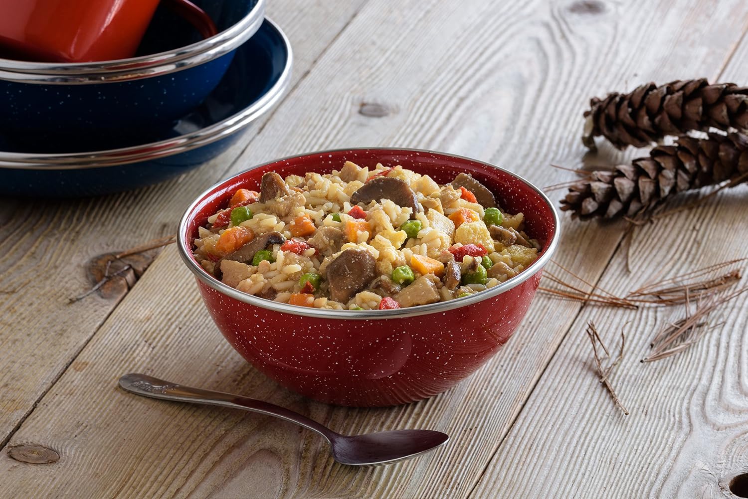 Mountain House Chicken Fried Rice