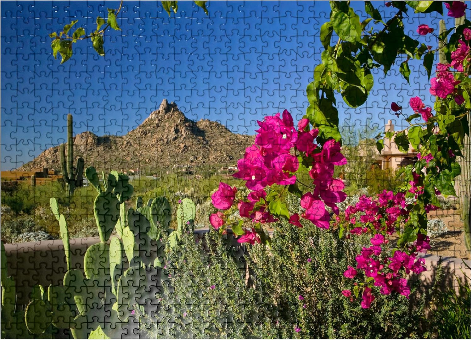 MyPuzzle Bougainvillea with Pinnacle Peak, Scottsdale, Arizona, USA - Premium 500 Piece Jigsaw Puzzle for Adults