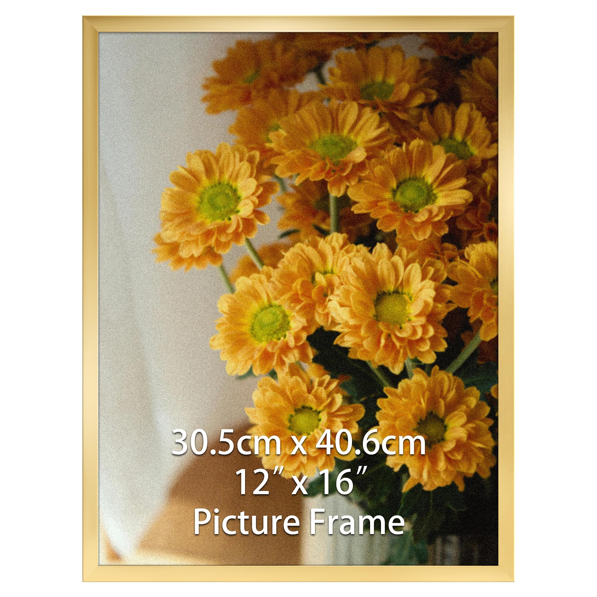 Vasemouh 30x40cm Picture Frame Gold, Single 12x16 Inch Photo Frame Horizontal or Vertical Wall Mounting for Home, Office, Gallery โ image 1