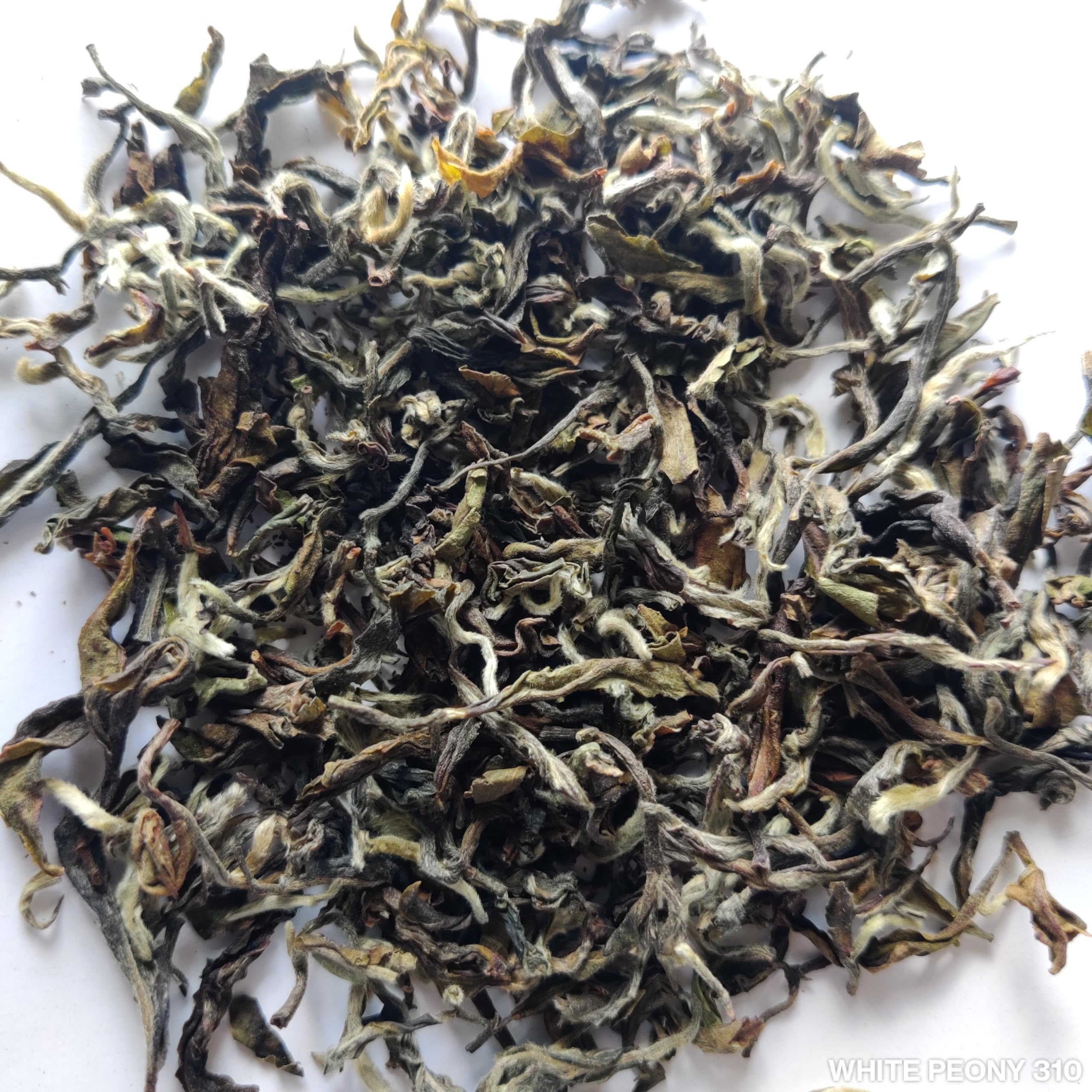 See full amazon price history chart for Ketley Gold Darjeeling White Tea Leaves - White Peony, 500g | High Grown Estate Tea From Darjeeling Season 2023 | 100g, Pack of 5 Ketley Gold Darjeeling White Tea Leaves - White Peony, 500g | High Grown Estate Tea From Darjeeling Season 2023 | 100g, Pack of 5 (B093LH7M9R) Amazon Price History, Amazon Price Tracker
