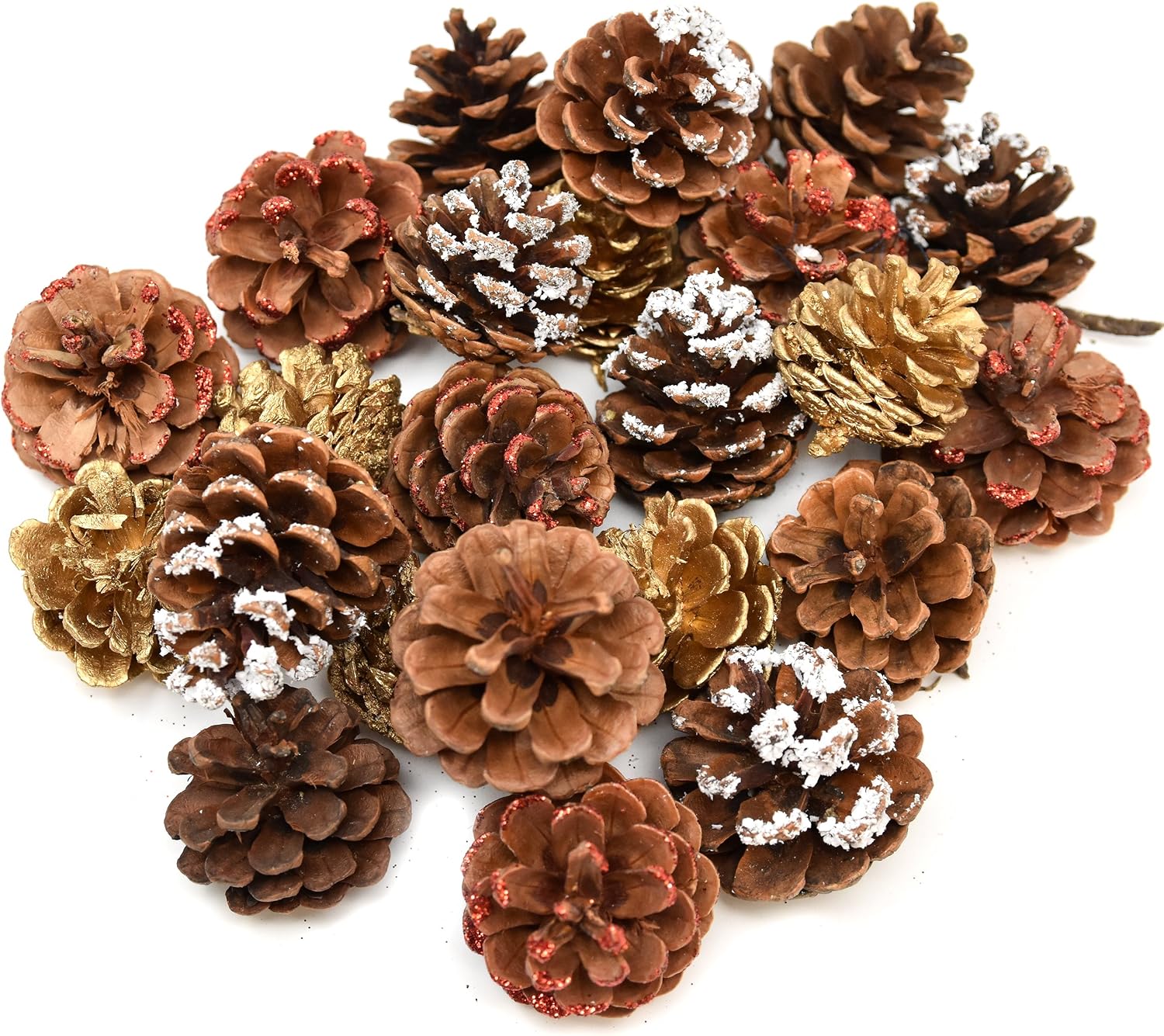 24 Pack Natural Pine Cones for Christmas Fall Thanksgiving Harvest Autumn Party Craft Accessory Decorations, 4 Winter Holiday Colors Red White Gold and Brown by Gift Boutique
