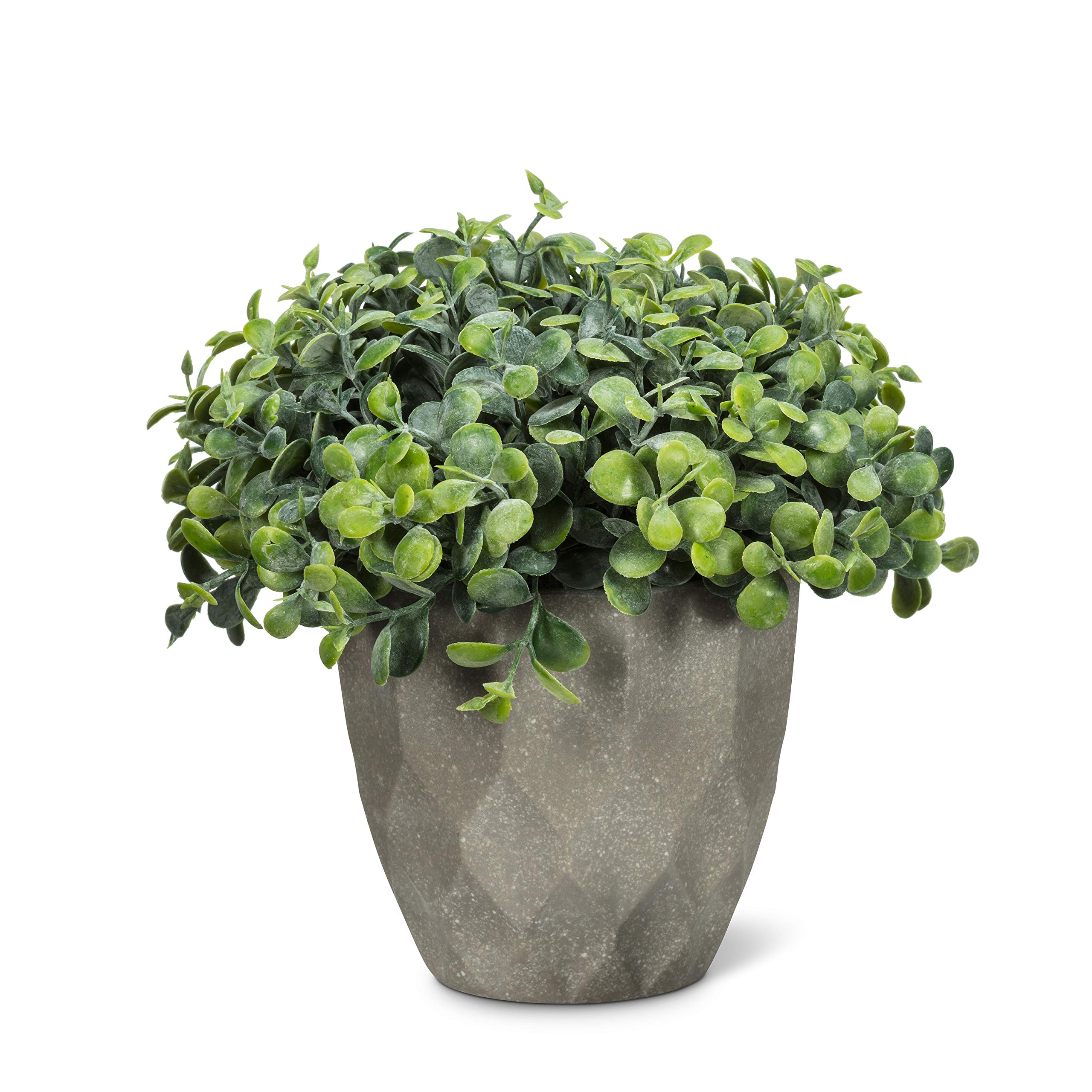Pot de fleurs goutte vert 15,2 cm étanche pour retenir l'humidité des plantes