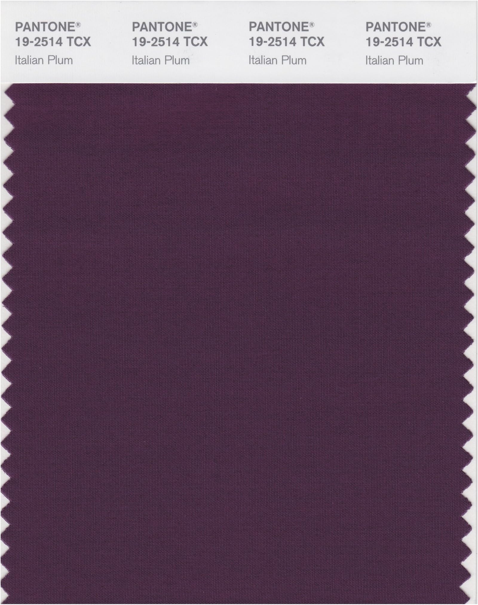PANTONE Smart 19-2514X Color Swatch Card, Italian Plum