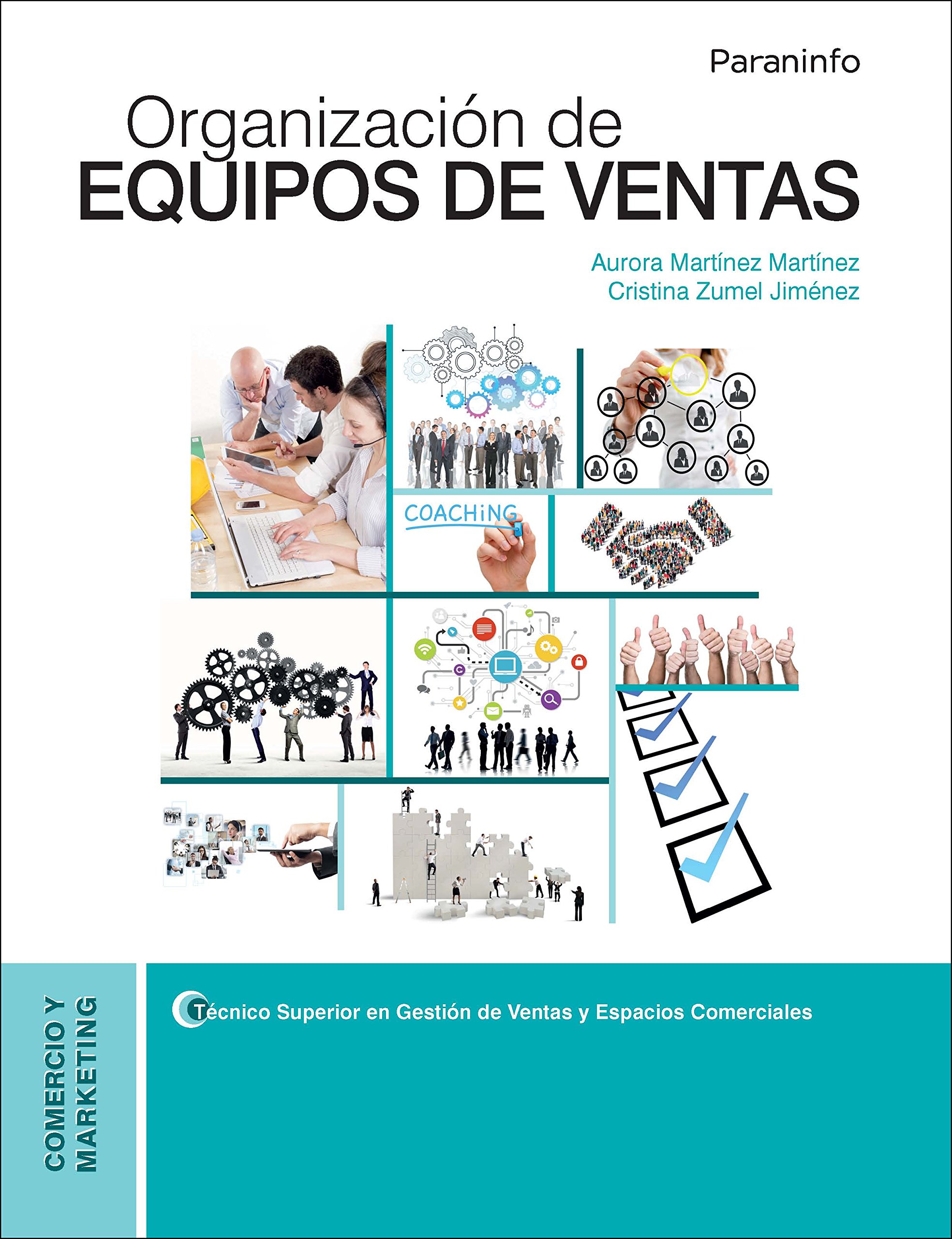 Organización de equipos de ventas (Comercio y Marketing)
