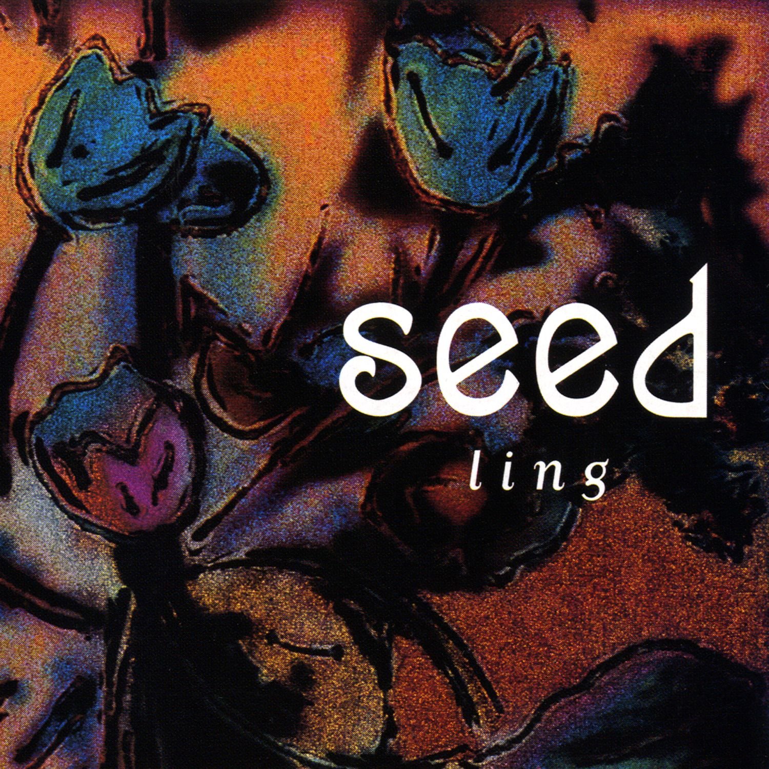 Seed