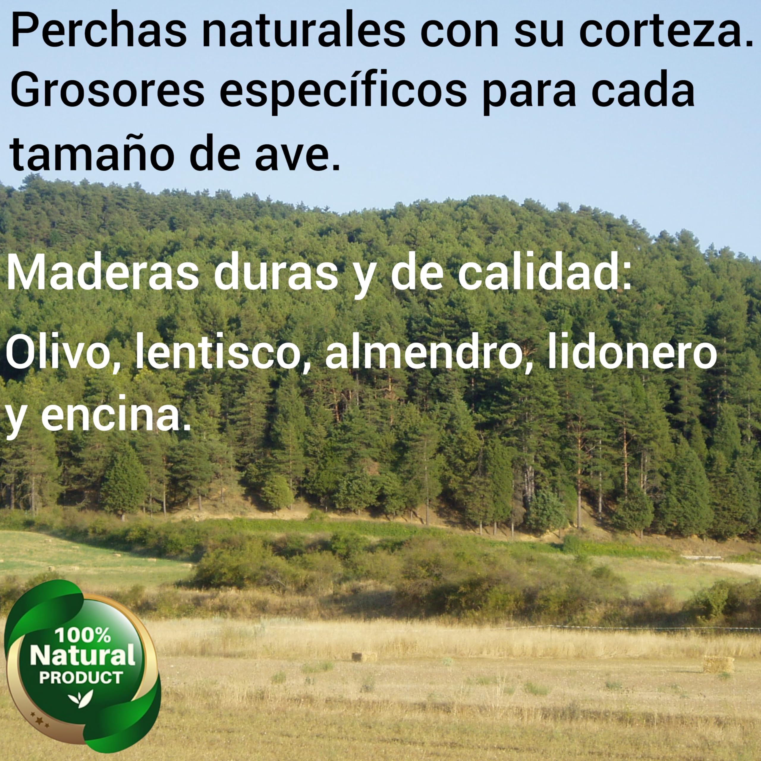 Perchas para loros agaporni, ninfas, jilguero, periquito, posaderos grandes de pajarera de aves, juguete accesorio ideal para el descanso, comedero y zona de juegos de pájaros, CALIDAD PREMIUM. (B)