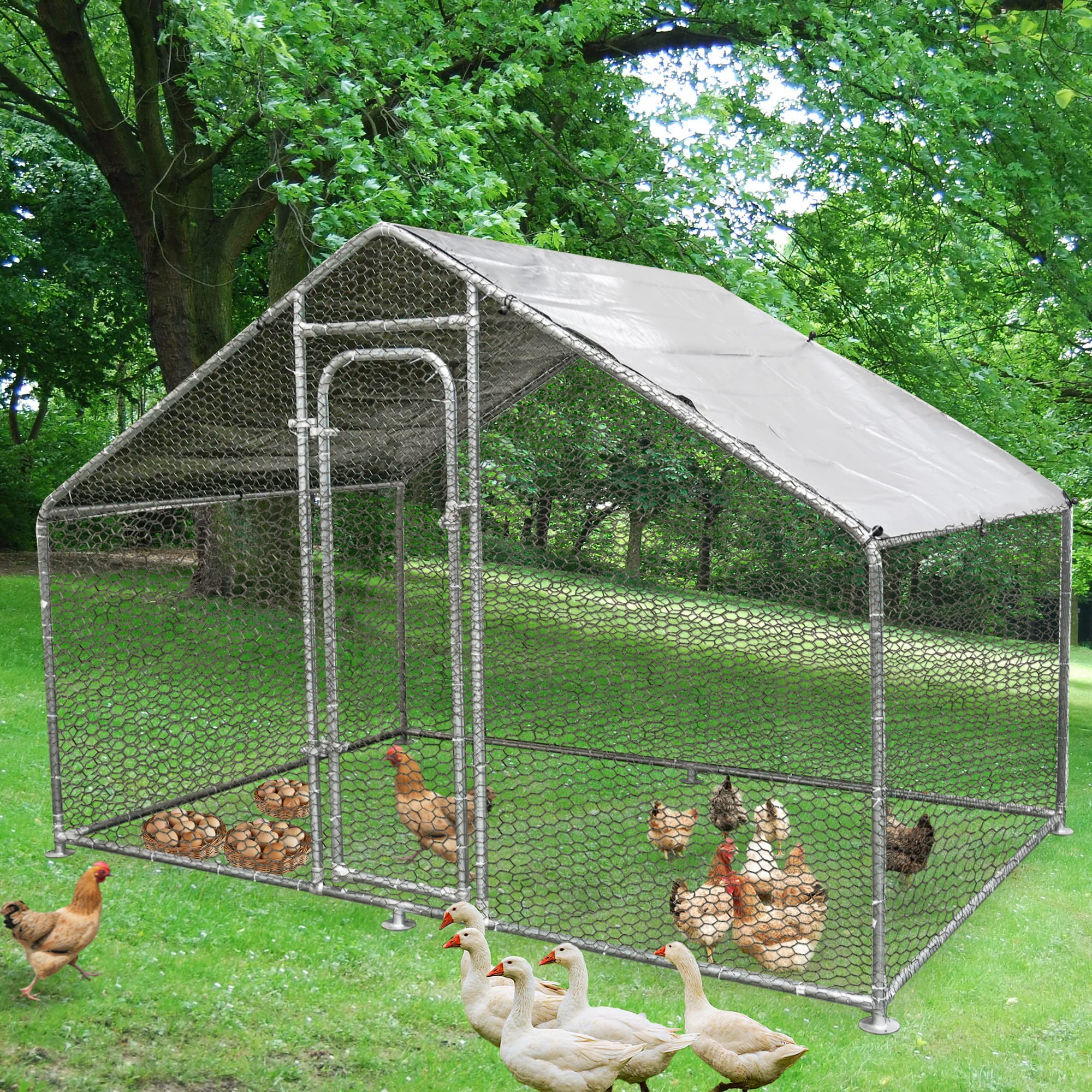 Buy HITTITE Large Metal Chicken Coop Walkin Poultry Cage, Chicken Run