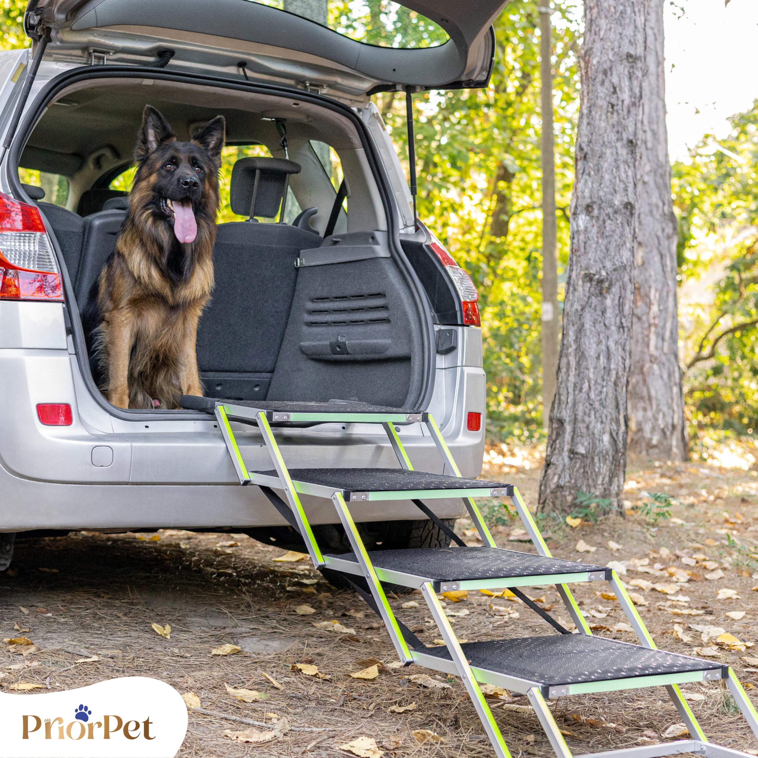 Scala per cani Auto pieghevole – Scala extra larga per cani grandi – Per auto alte e SUV – Passaggi luminosi di notte – Aiuto per articolazioni – Superficie antiscivolo – Fino a 105 kg – 4 gradini