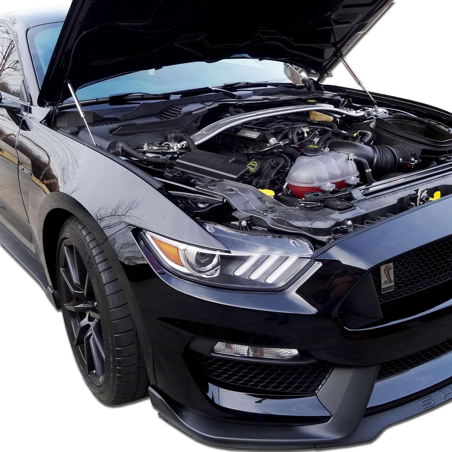 Redline Tuning 21-11030-03 Hood QuickLIFT Elite Bolt-in Struts Compatible with Ford Mustang Shelby GT350 (Stainless Steel Struts)